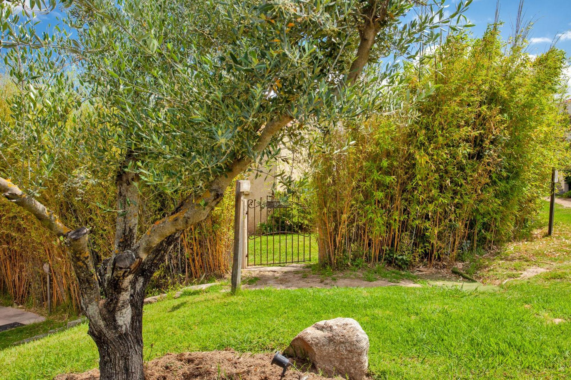 Residence Acquavital Calvi  Exterior foto